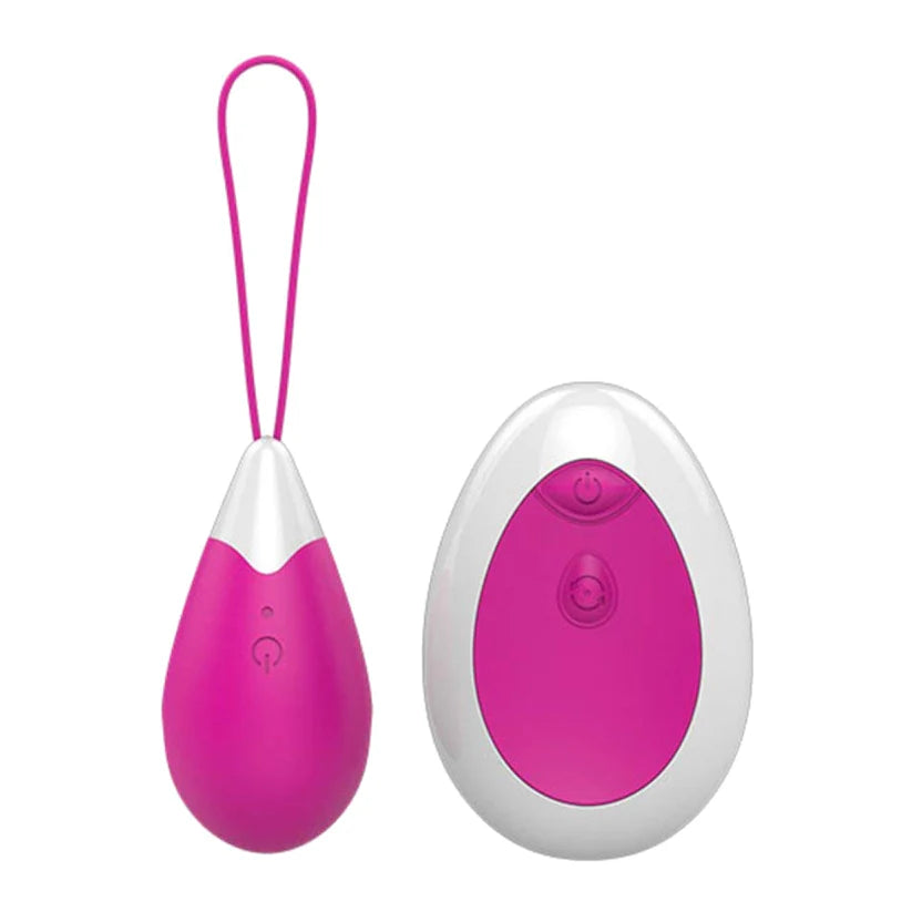 Remote Control Egg