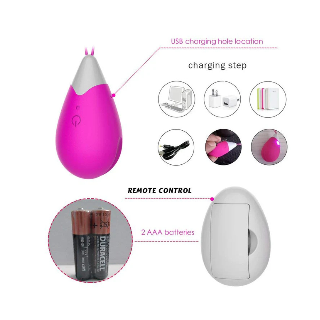 Remote Control Egg