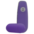 Wireless Vibrating Egg