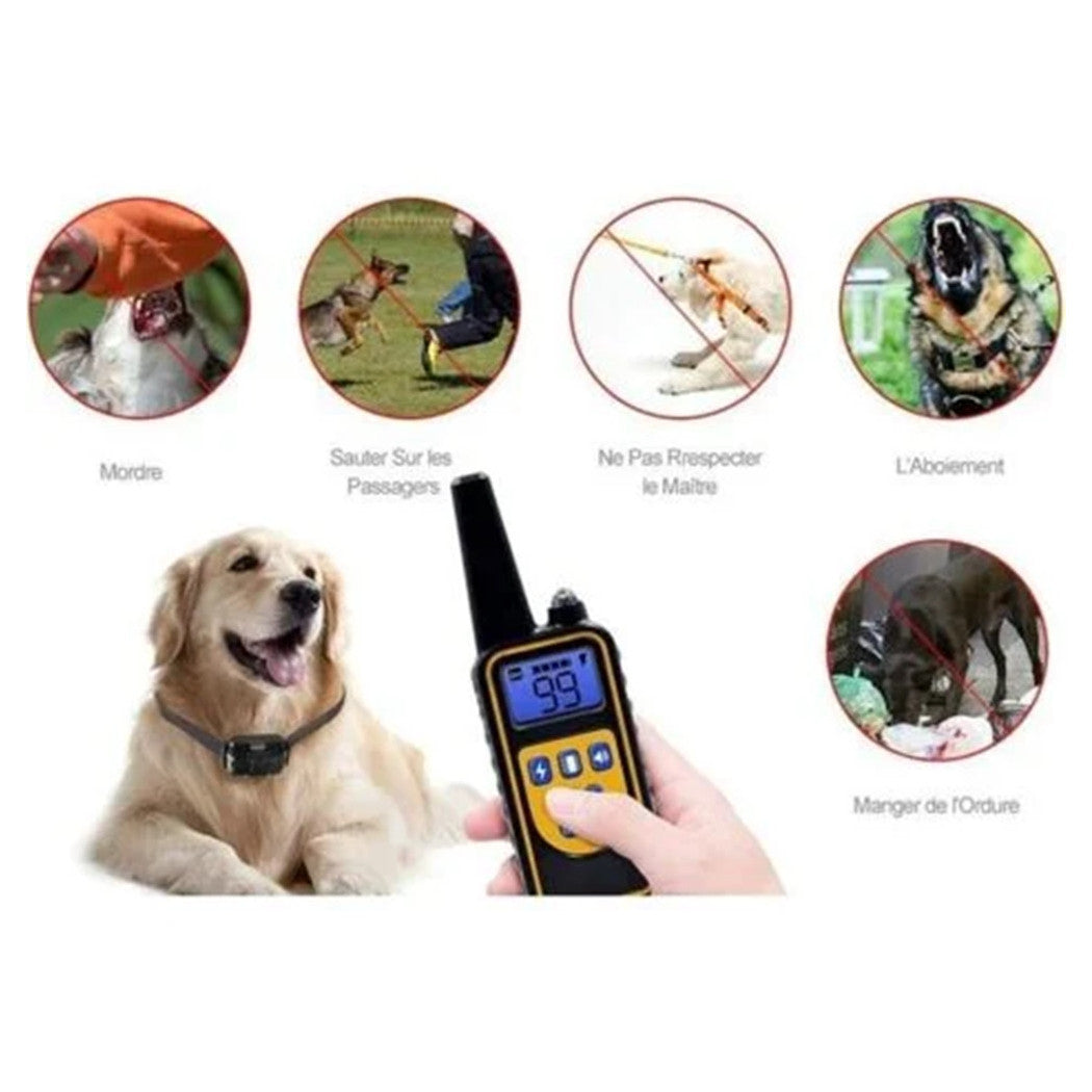 COLLARE DA ADDESTRAMENTO PER CANI ANTIABBAIO TELECOMANDO RICARICABILE IPX7 IMPERMEABILE