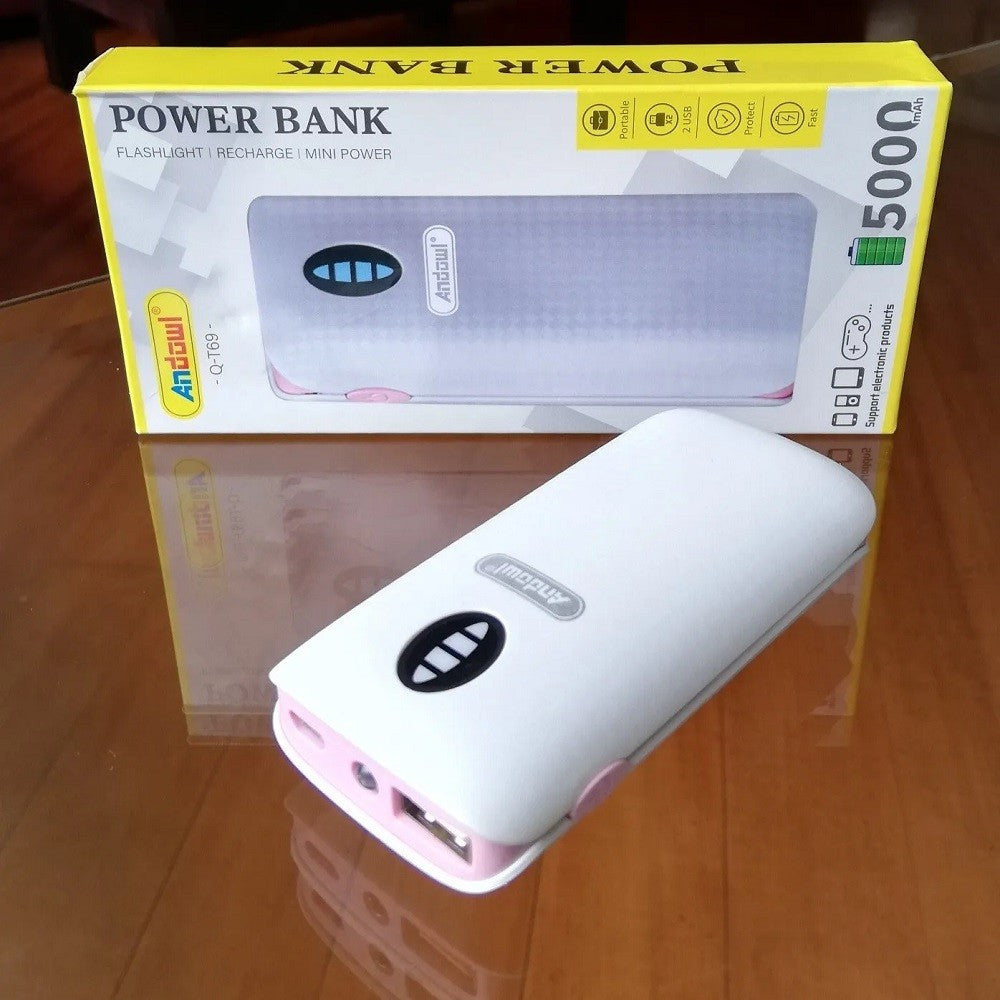 POWER BANK PORTATILE 5000MAH CON TORCIA A LED 2 PORTE USB RICARICA VELOCE Q-T69
