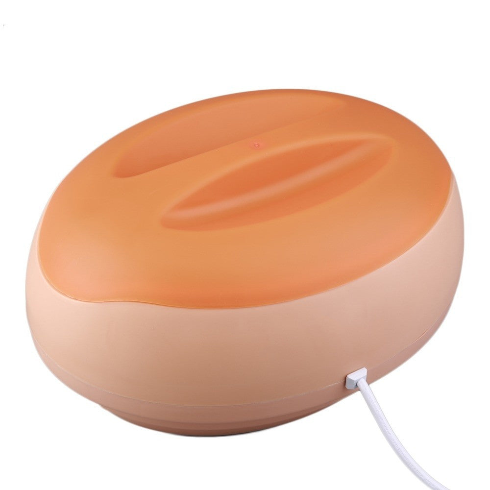 SCALDACERA PROFESSIONALE CON TERMOSTATO FORNELLO CERETTA 200 W CERA 1 LITRO
